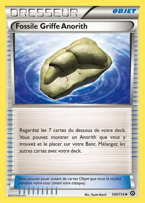 Fossile Griffe Anorith 100/114
