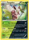 Image de la carte Tengalice 11/114