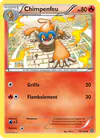 Image de la carte Chimpenfeu 19/114