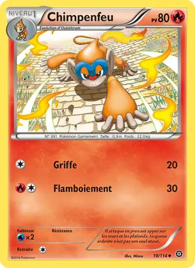 Image de la carte Pokemon Chimpenfeu 19/114