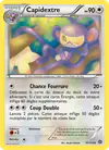 Image de la carte Capidextre 91/114