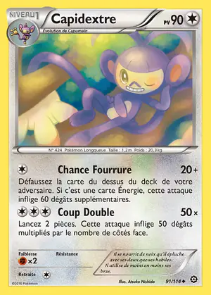 Capidextre 91/114