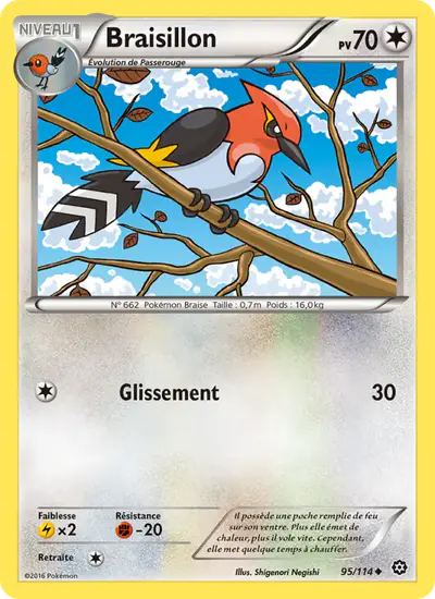 Image de la carte Pokemon Braisillon 95/114