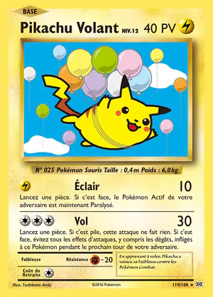 Pikachu Volant 110/108