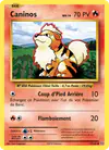 Image de la carte Caninos 17/108