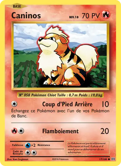 Image de la carte Pokemon Caninos 17/108