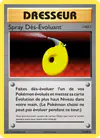 Image de la carte Spray Dés-Évoluant 76/108
