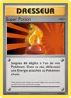 Image de la carte Super Potion 87/108