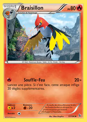 Braisillon 17/106