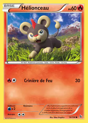 H&eacute;lionceau 19/106