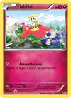 Image de la carte Flabébé 62/106