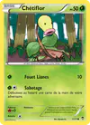 Image de la carte Chétiflor 1/111