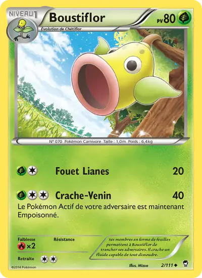 Image de la carte Pokemon Boustiflor 2/111