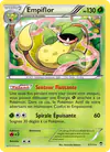 Image de la carte Empiflor 3/111
