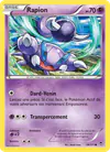 Image de la carte Rapion 38/111