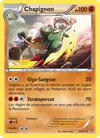 Image de la carte Chapignon 50/111