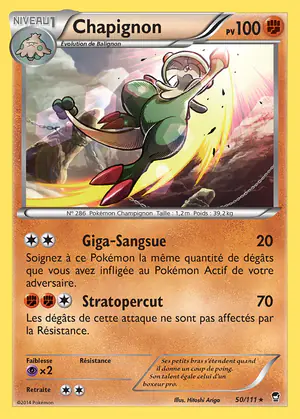 Chapignon 50/111