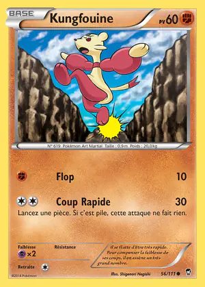Kungfouine 56/111