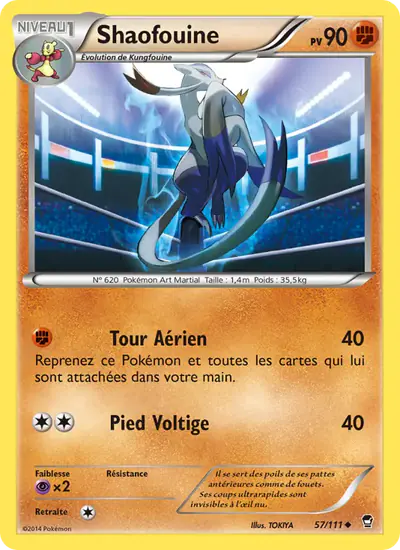 Image de la carte Pokemon Shaofouine 57/111