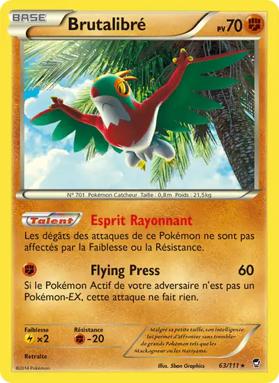 Image de la carte Pokemon Brutalibré 63/111