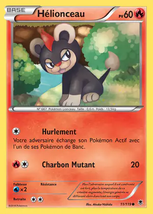 H&eacute;lionceau 11/119