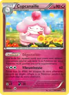 Image de la carte Cupcanaille 69/119