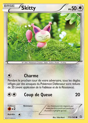 Skitty 113/160