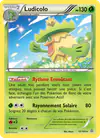 Image de la carte Ludicolo 12/160
