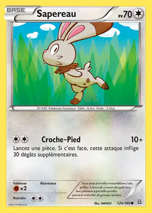 Sapereau 120/160