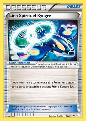 Lien Spirituel Kyogre 132/160
