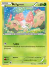 Image de la carte Balignon 15/160