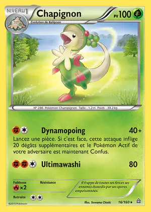 Chapignon 16/160