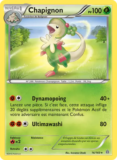 Image de la carte Pokemon Chapignon 16/160