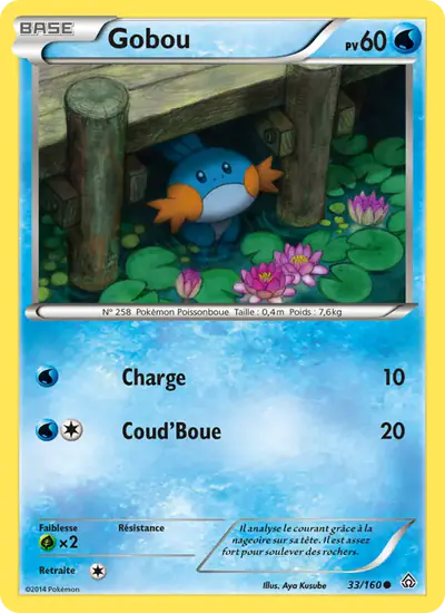 Image de la carte Pokemon Gobou 33/160