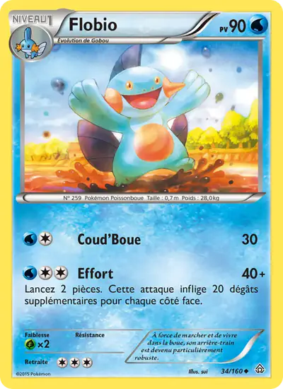 Image de la carte Pokemon Flobio 34/160