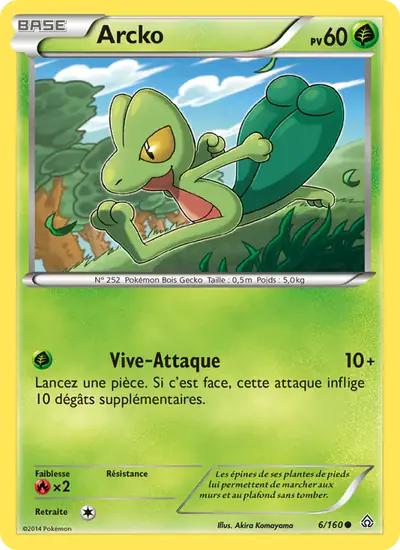 Image de la carte Pokemon Arcko 6/160