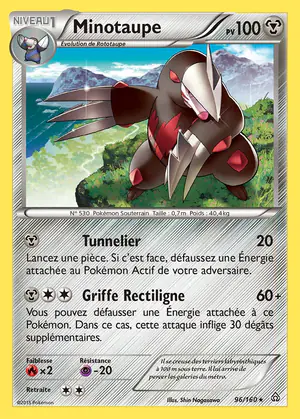 Minotaupe 96/160