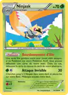 Image de la carte Ninjask 10/108