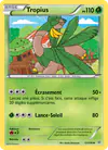 Image de la carte Tropius 12/108