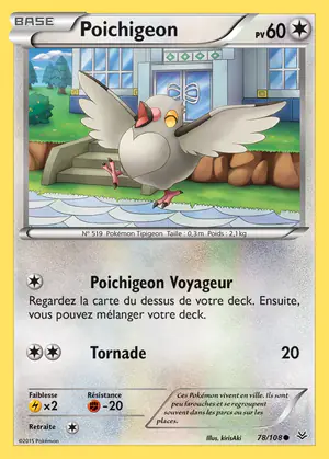 Poichigeon 78/108