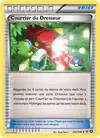 Image de la carte Courrier du Dresseur 92a/108