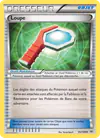 Image de la carte Loupe 95/108