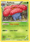 Image de la carte Rafflesia 3/98