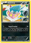 Image de la carte Sepiatop 45/98
