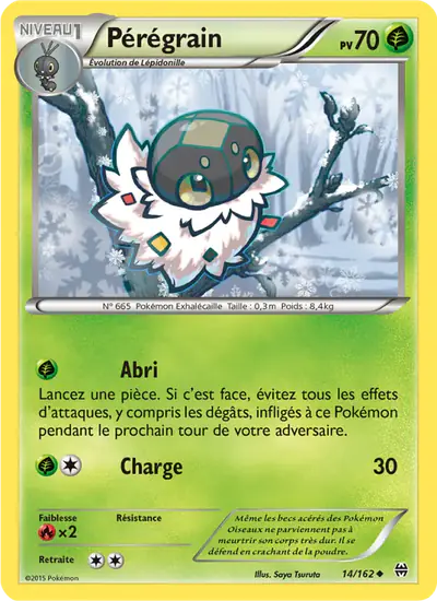 Image de la carte Pokemon Pérégrain 14/162