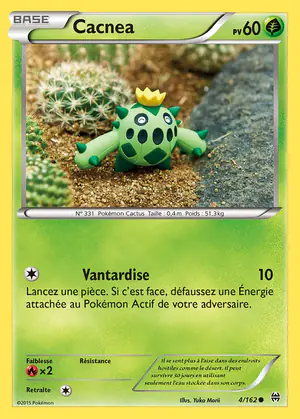 Cacnea 4/162