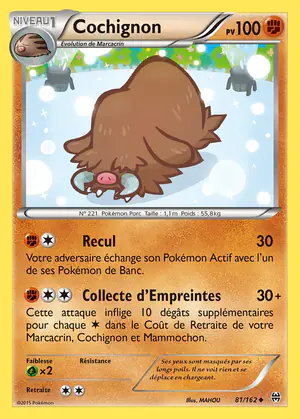 Cochignon 81/162