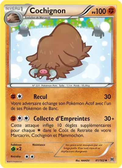 Image de la carte Pokemon Cochignon 81/162