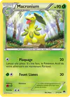 Image de la carte Macronium 2/122