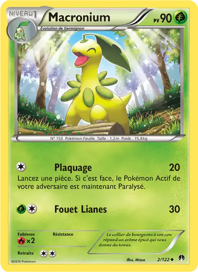 Image de la carte Pokemon Macronium 2/122